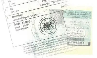 Consular Embassy Legalization Stamps